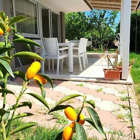 Comfort Villa In Green Nature Of Marmaris Turkiye Villa Muğla